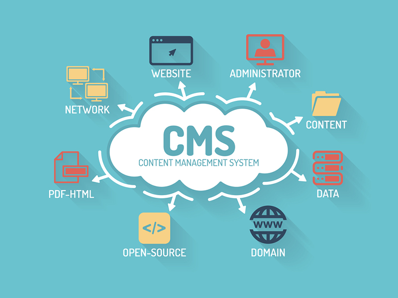 Custom CMS Development Services in Calgary, AB - Scalable Content Management Solutions
